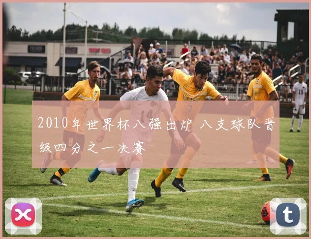 2010年世界杯八强出炉 八支球队晋级四分之一决赛
