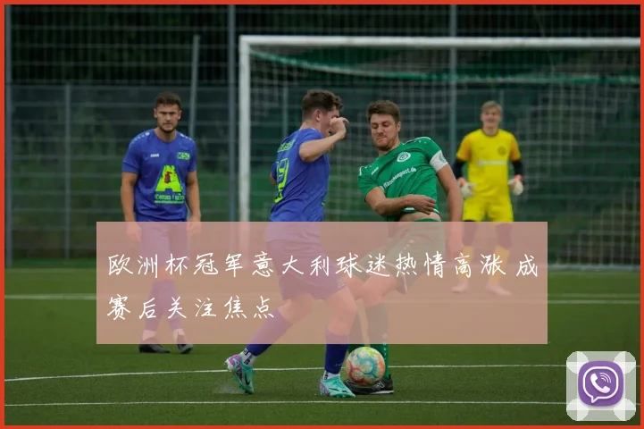 欧洲杯冠军意大利球迷热情高涨 成赛后关注焦点