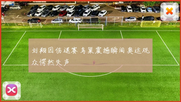 刘翔因伤退赛鸟巢震撼瞬间奥运观众愕然失声