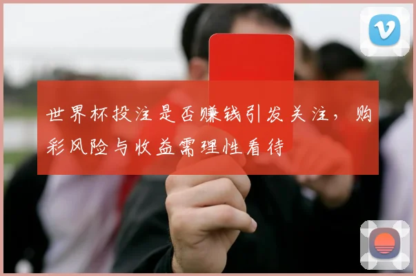 世界杯投注是否赚钱引发关注,购彩风险与收益需理性看待