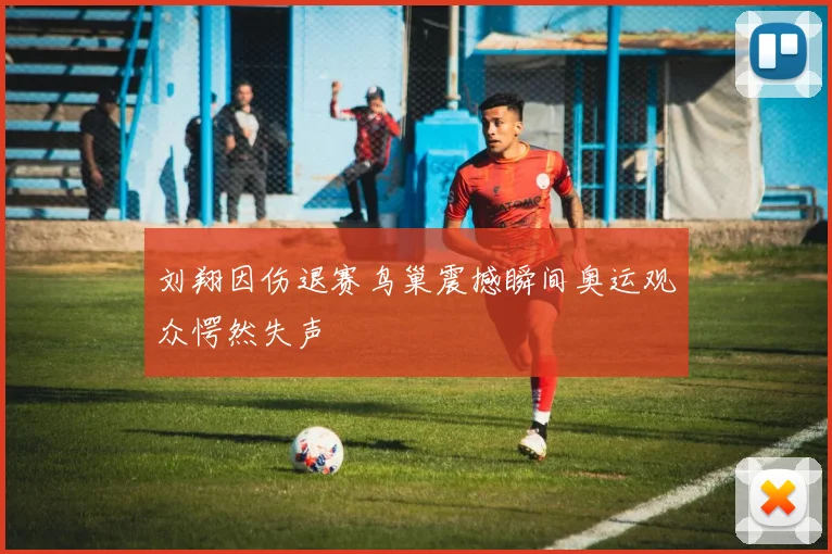 刘翔因伤退赛鸟巢震撼瞬间奥运观众愕然失声