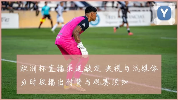 欧洲杯直播渠道敲定 央视与流媒体分时段播出付费与观赛须知