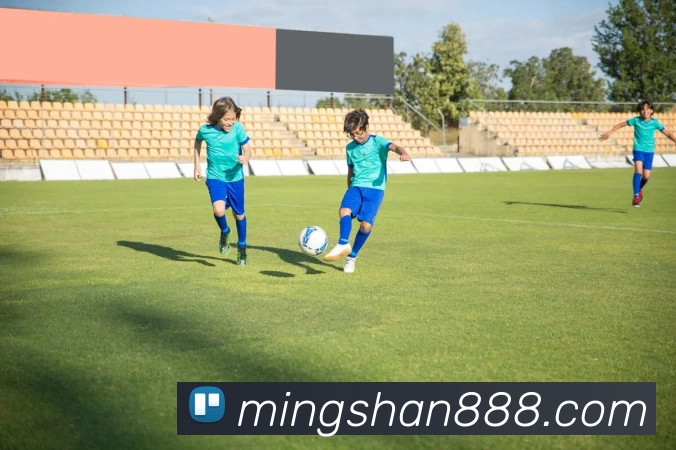 EMC(易倍股份有限公司)易倍·中国大陆 - 官方网站平台生态图